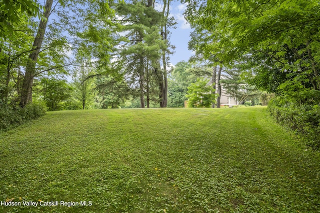 732 W Main St, Catskill, NY 12414 - photo 35