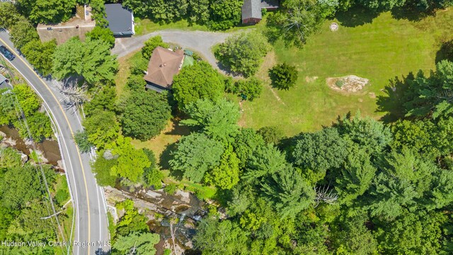 427 W Saugerties Rd, Saugerties, NY 12477 - photo 4