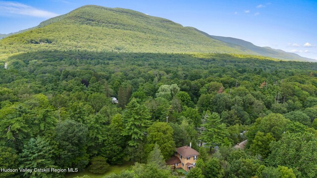 427 W Saugerties Rd, Saugerties, NY 12477 - photo 6