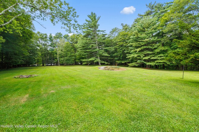 427 W Saugerties Rd, Saugerties, NY 12477 - photo 41