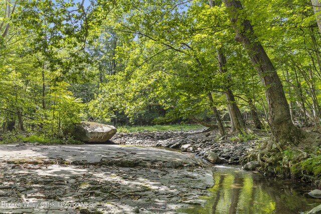 427 W Saugerties Rd, Saugerties, NY 12477 - photo 43