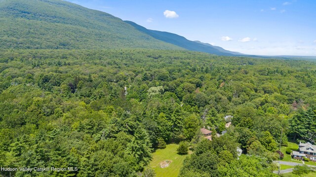 427 W Saugerties Rd, Saugerties, NY 12477 - photo 45