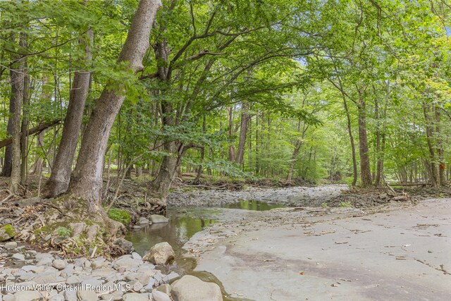 427 W Saugerties Rd, Saugerties, NY 12477 - photo 42