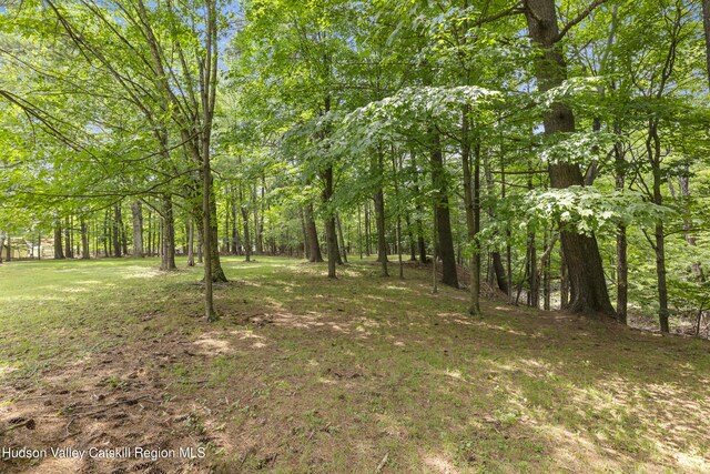 427 W Saugerties Rd, Saugerties, NY 12477 - photo 40
