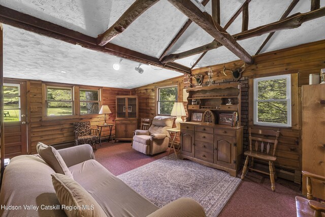 427 W Saugerties Rd, Saugerties, NY 12477 - photo 26