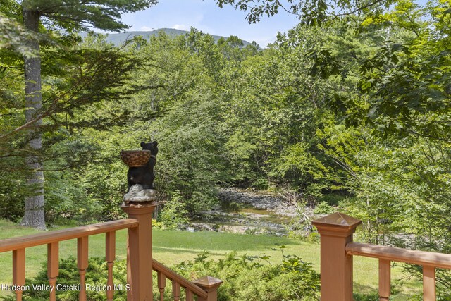 427 W Saugerties Rd, Saugerties, NY 12477 - photo 17