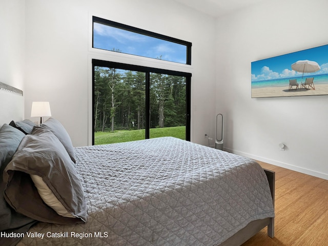 501 Birch St, Copake, NY 12516 - bedroom with wood finished floors and access to exterior