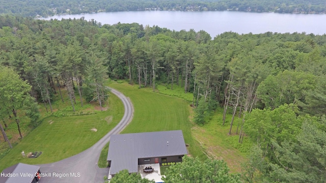501 Birch St, Copake, NY 12516 - aerial view of a heavily wooded area and a large body of water