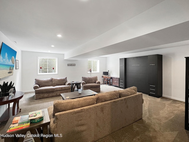 501 Birch St, Copake, NY 12516 - living room with light colored carpet and recessed lighting