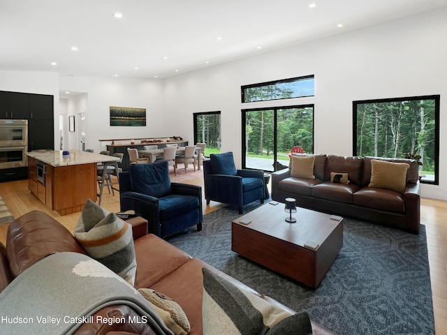501 Birch St, Copake, NY 12516 - living area with light wood-type flooring, plenty of natural light, recessed lighting, and a towering ceiling