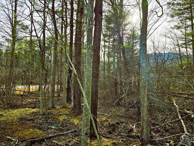 0 Stone Mountain Rd, Cairo, NY 12413 - photo 5