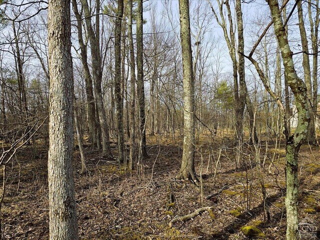 0 Stone Mountain Rd, Cairo, NY 12413 - photo 9