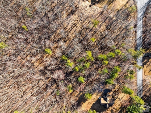 0 Stone Mountain Rd, Cairo, NY 12413 - photo 14