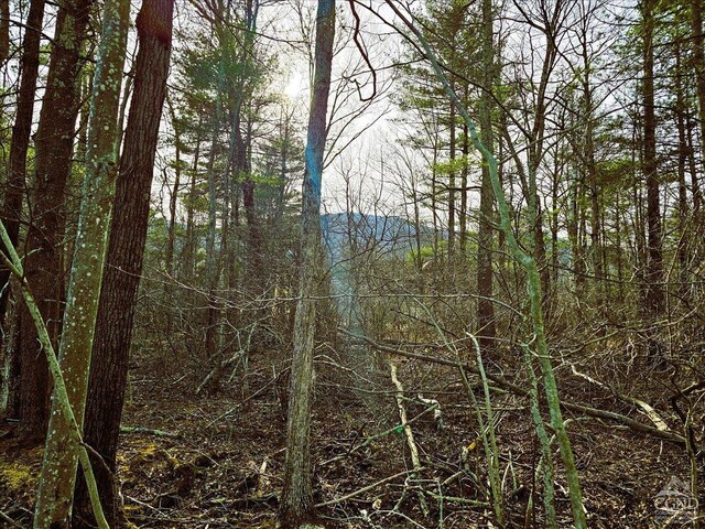 0 Stone Mountain Rd, Cairo, NY 12413 - photo 4