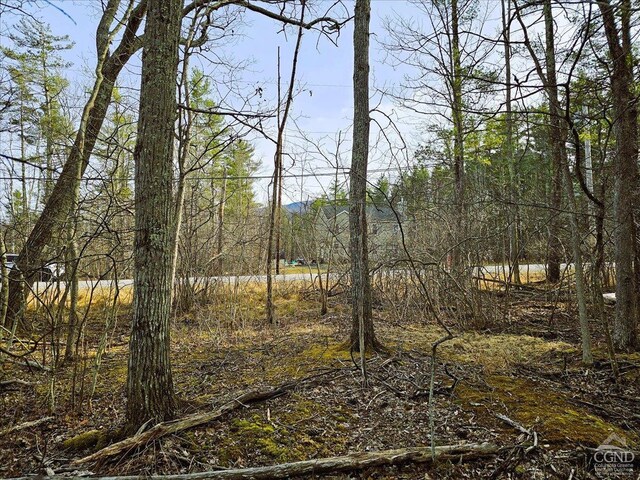 0 Stone Mountain Rd, Cairo, NY 12413 - photo 10
