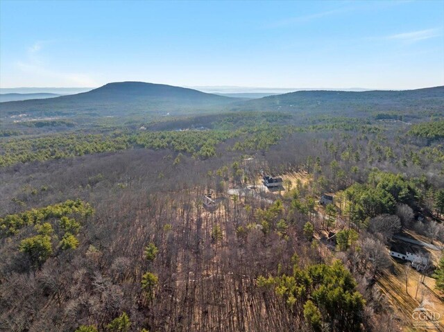 0 Stone Mountain Rd, Cairo, NY 12413 - photo 12