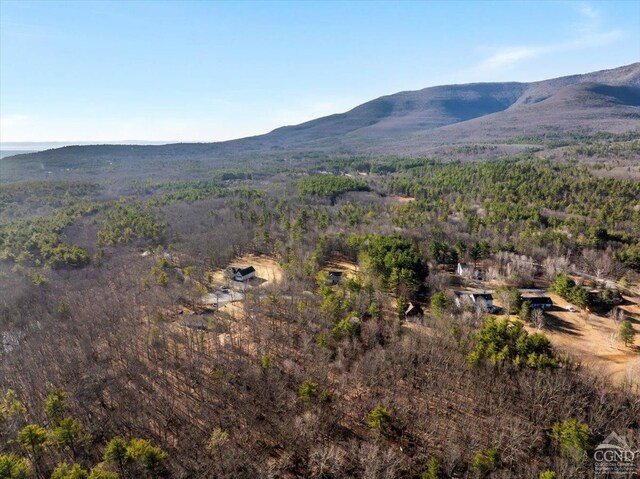 0 Stone Mountain Rd, Cairo, NY 12413 - photo 3