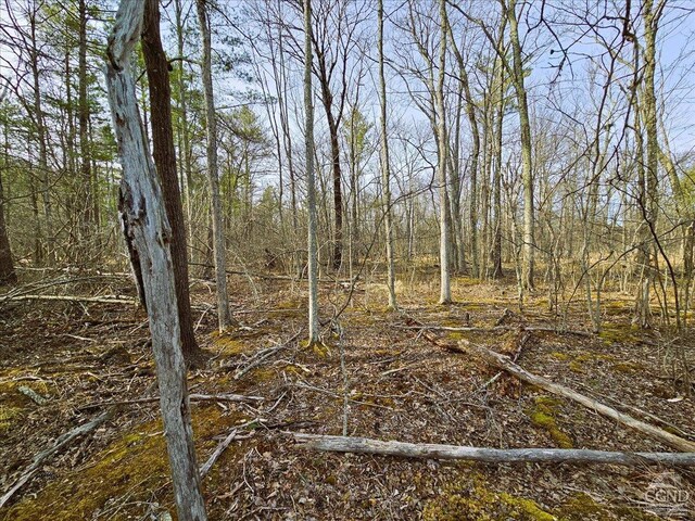 0 Stone Mountain Rd, Cairo, NY 12413 - photo 6