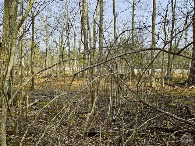 0 Stone Mountain Rd, Cairo, NY 12413 - photo 11