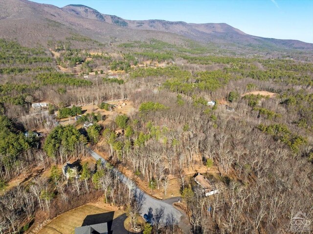 0 Stone Mountain Rd, Cairo, NY 12413 - photo 15