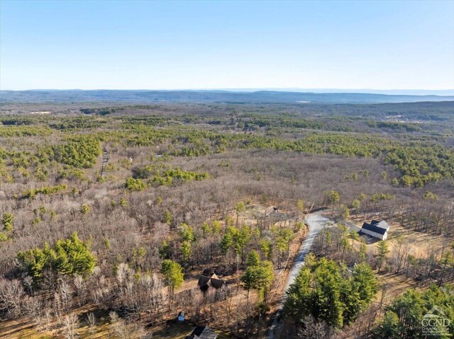 0 Stone Mountain Rd, Cairo, NY 12413 - photo 16