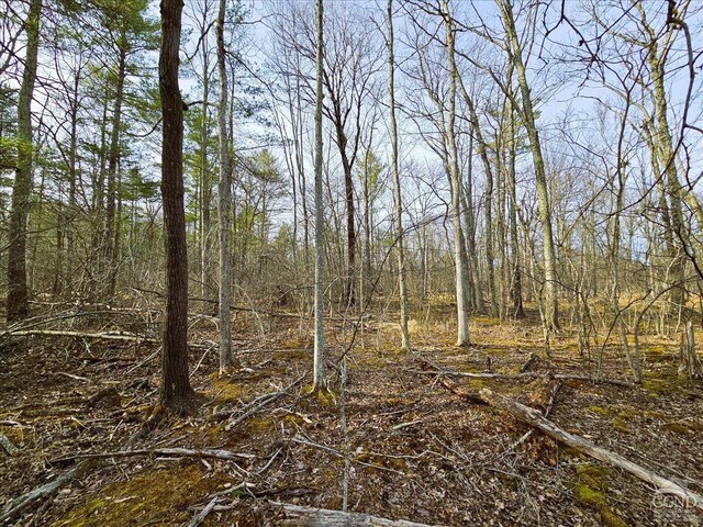 0 Stone Mountain Rd, Cairo, NY 12413 - photo 7