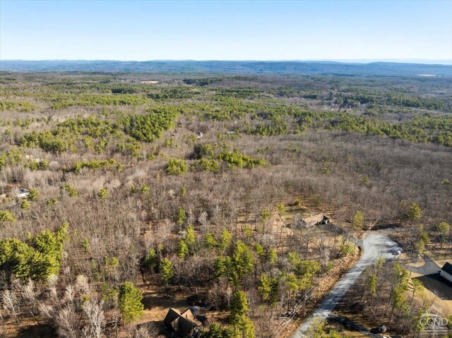 0 Stone Mountain Rd, Cairo, NY 12413 - photo 13