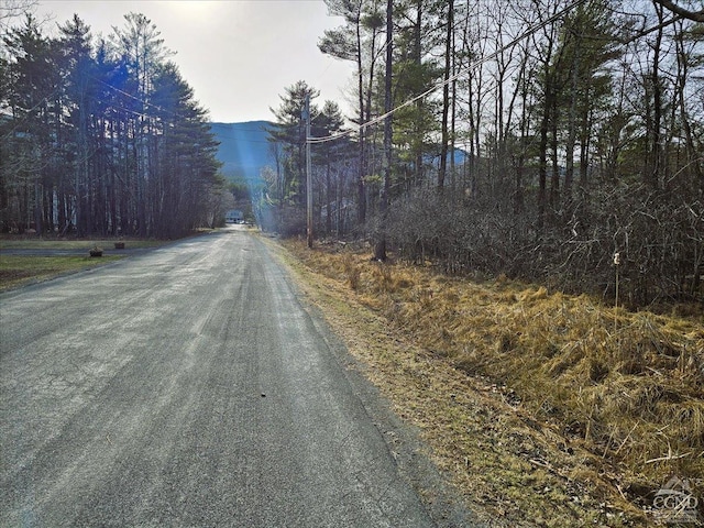 0 Stone Mountain Rd, Cairo, NY 12413 - photo 1