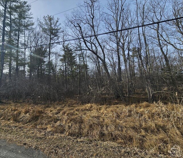 0 Stone Mountain Rd, Cairo, NY 12413 - photo 8