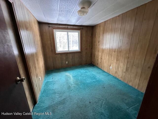 carpeted spare room with a textured ceiling and wooden walls