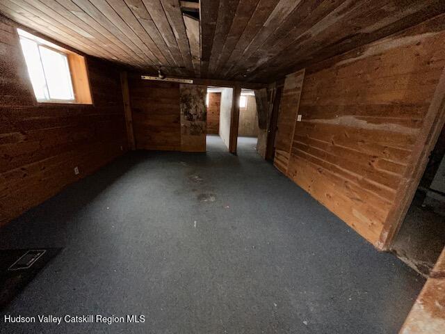 basement featuring wooden walls and wooden ceiling