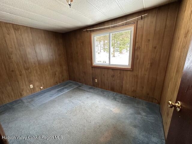 carpeted empty room featuring wooden walls and a textured ceiling