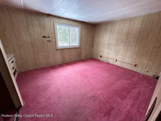 empty room featuring carpet and wood walls