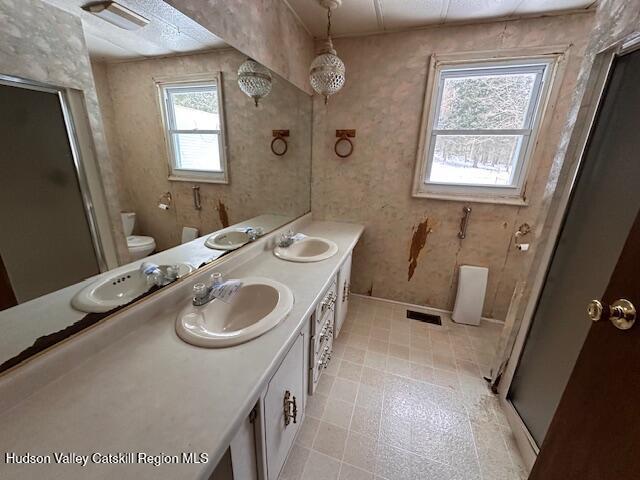 bathroom featuring toilet, a healthy amount of sunlight, vanity, and walk in shower