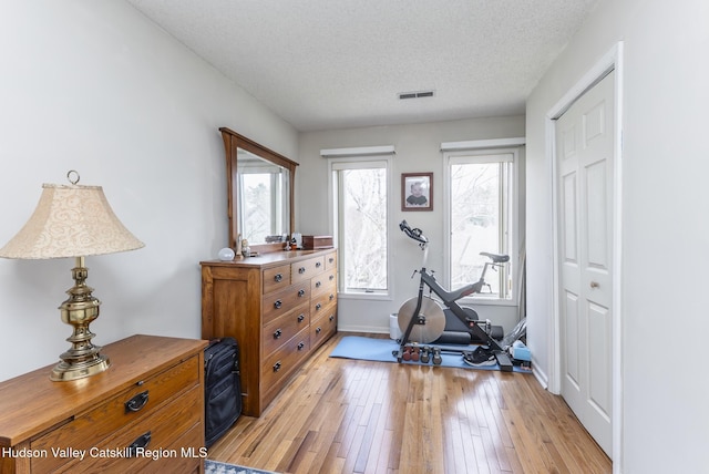 217 Aspen Ter, Poughkeepsie, NY 12601 - workout room featuring a healthy amount of sunlight, a textured ceiling, light wood-type flooring, and visible vents
