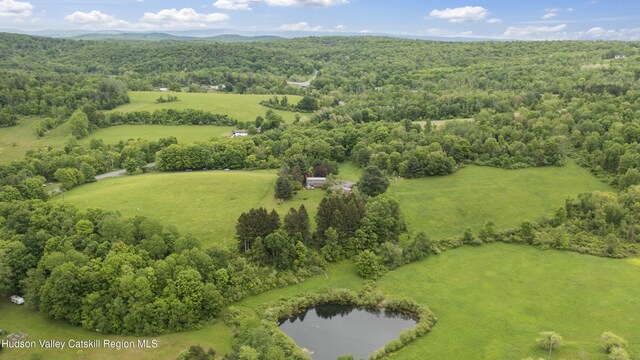2727 County Route 8, Elizaville, NY 12523 - bird's eye view of a heavily wooded area and a nearby body of water