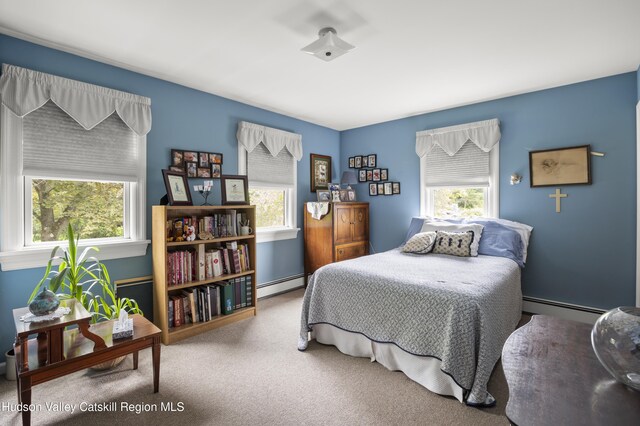 2727 County Route 8, Elizaville, NY 12523 - bedroom featuring a baseboard heating unit and carpet
