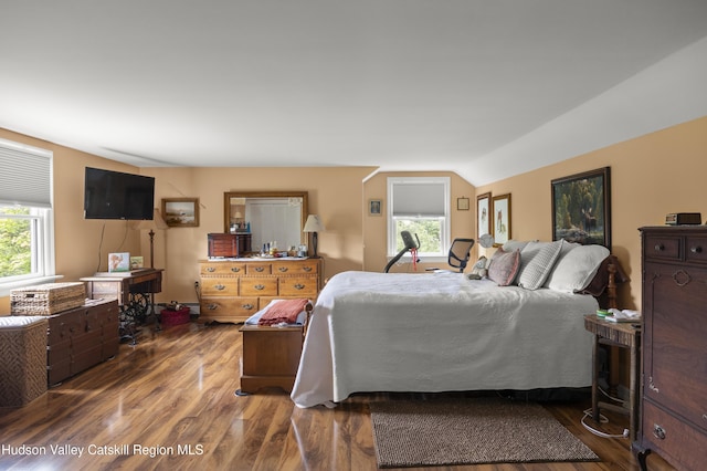 2727 County Route 8, Elizaville, NY 12523 - bedroom with multiple windows, wood finished floors, and lofted ceiling