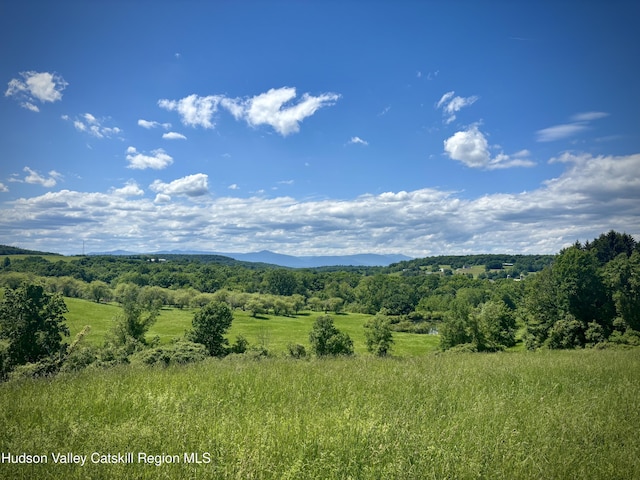 2727 County Route 8, Elizaville, NY 12523 - photo 5