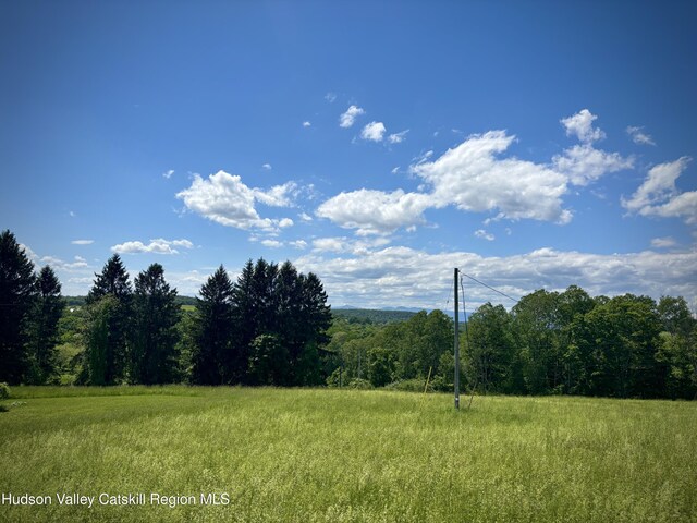 2727 County Route 8, Elizaville, NY 12523 - view of tree filled area