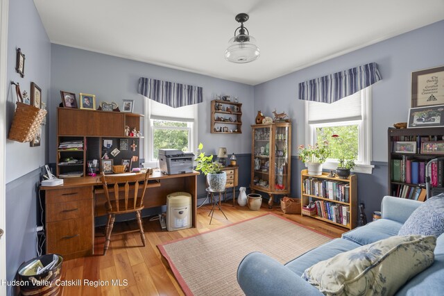 2727 County Route 8, Elizaville, NY 12523 - office featuring light wood-style floors