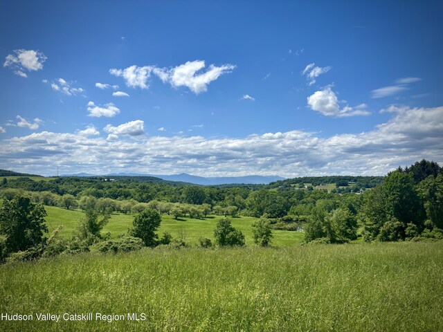2727 County Route 8, Elizaville, NY 12523 - view of mountain background