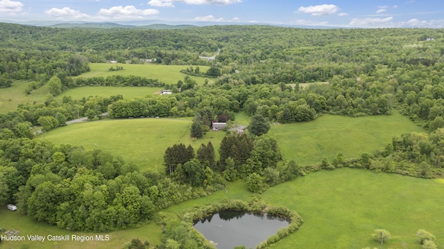 2727 County Route 8, Elizaville, NY 12523 - bird's eye view of a heavily wooded area and a nearby body of water