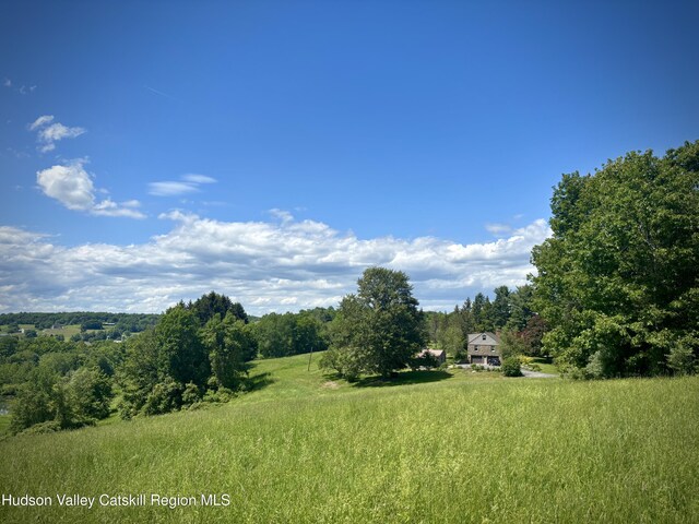 2727 County Route 8, Elizaville, NY 12523 - photo 24
