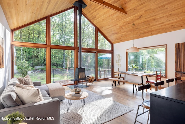16 Blue Spruce Ln, Kerhonkson, NY 12446 - photo 7
