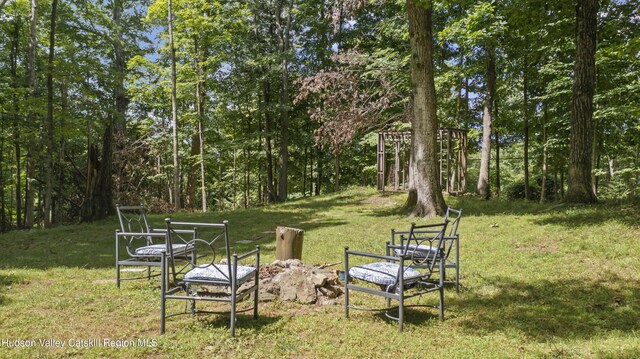 15 Birch Rd, Copake, NY 12516 - photo 21