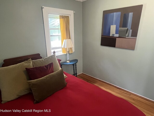 7825 Rte 81, Oak Hill, NY 12460 - photo 19