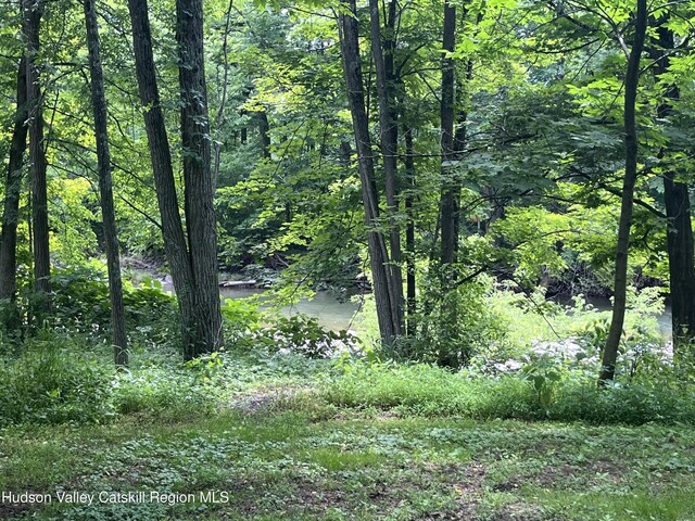 7825 Rte 81, Oak Hill, NY 12460 - photo 32