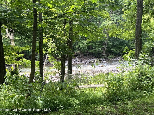 7825 Rte 81, Oak Hill, NY 12460 - photo 33