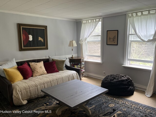 7825 Rte 81, Oak Hill, NY 12460 - photo 17
